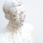 Traveling the Energetic Highway: What Are Meridians?